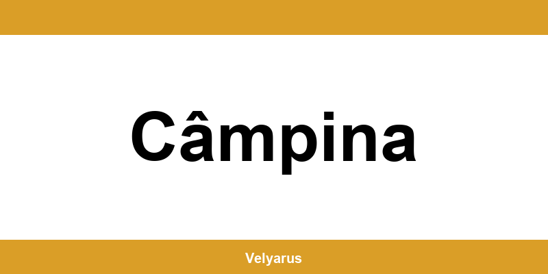 Contactează rapid punctul Cargus Ship & Go din Câmpina